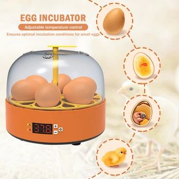 Инкубатор для птиц, перепелов, цыплят, Тернер, Мини-Инкубатор для яиц, Регулируемый Контроль температуры, Улучшение скорости вылупления