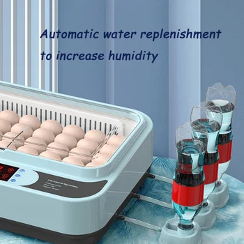 Инкубатор для яиц 64, Полностью автоматический брудер, регулирующий влажность, Контроль температуры для голубей, перепелов, уток, гусей, инструмент для птицеводства на ферме