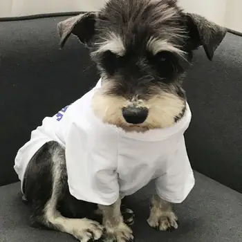 Симпатичная футболка, одежда для домашних кошек, собак, одежда для двуногих, пуловер для собак, которую можно стирать